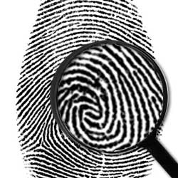 Career in Forensic Science