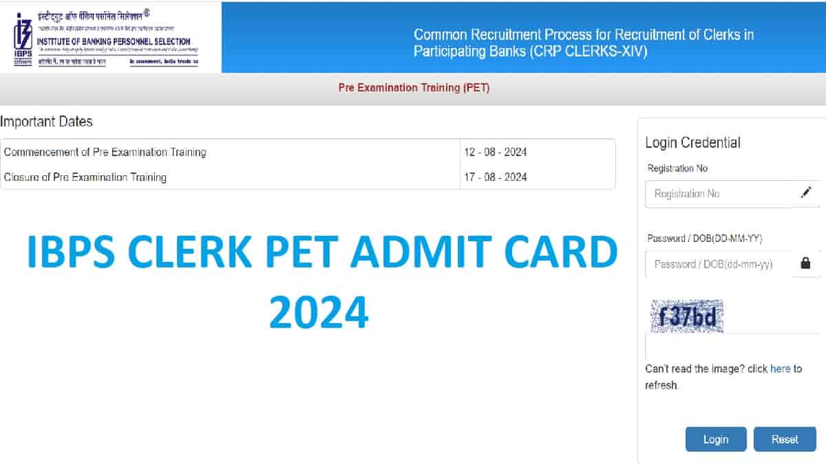 IBPS Clerk Admit Card 2024 Released: Check Direct Download Link at ibps.in